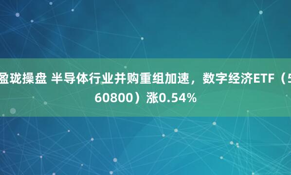 盈珑操盘 半导体行业并购重组加速，数字经济ETF（560800）涨0.54%