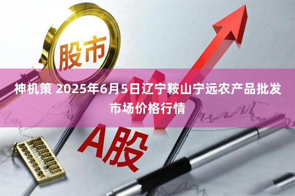 神机策 2025年6月5日辽宁鞍山宁远农产品批发市场价格行情