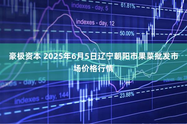 豪极资本 2025年6月5日辽宁朝阳市果菜批发市场价格行情