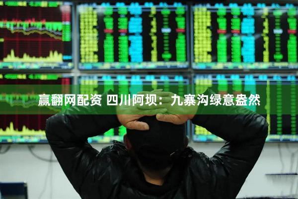 赢翻网配资 四川阿坝：九寨沟绿意盎然