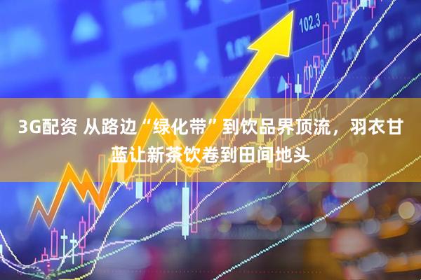 3G配资 从路边“绿化带”到饮品界顶流，羽衣甘蓝让新茶饮卷到田间地头