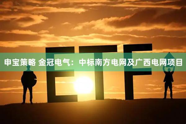 申宝策略 金冠电气：中标南方电网及广西电网项目