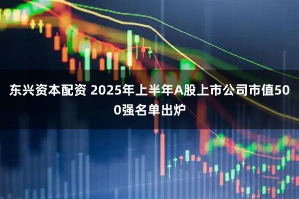 东兴资本配资 2025年上半年A股上市公司市值500强名单出炉
