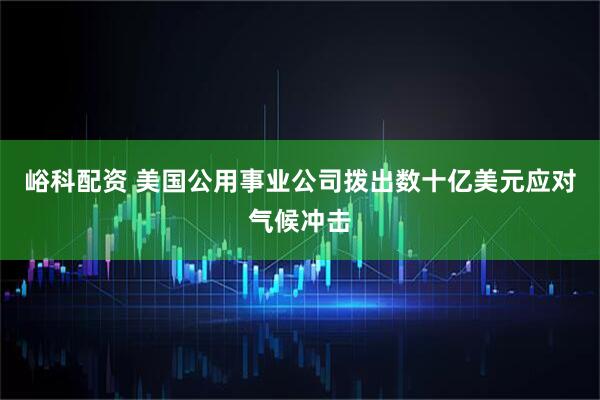 峪科配资 美国公用事业公司拨出数十亿美元应对气候冲击