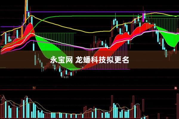 永宝网 龙蟠科技拟更名