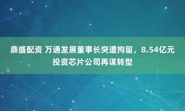 鼎盛配资 万通发展董事长突遭拘留，8.54亿元投资芯片公司再谋转型