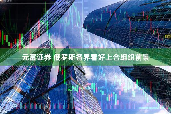 元富证券 俄罗斯各界看好上合组织前景