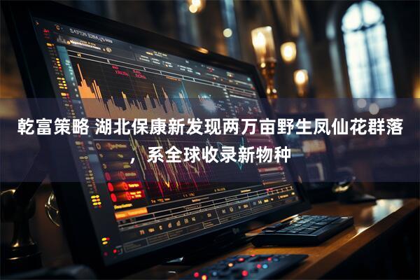 乾富策略 湖北保康新发现两万亩野生凤仙花群落，系全球收录新物种