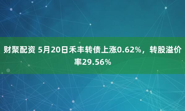 财聚配资 5月20日禾丰转债上涨0.62%，转股溢价率29.56%