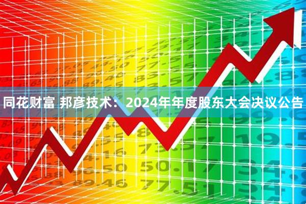 同花财富 邦彦技术：2024年年度股东大会决议公告