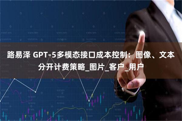 路易泽 GPT-5多模态接口成本控制:图像、文本分开计费策略_图片_客户_用户