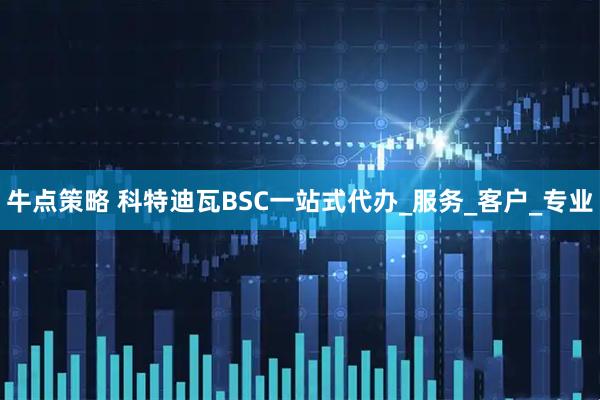 牛点策略 科特迪瓦BSC一站式代办_服务_客户_专业
